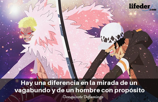 Frases de One Piece - Animedia