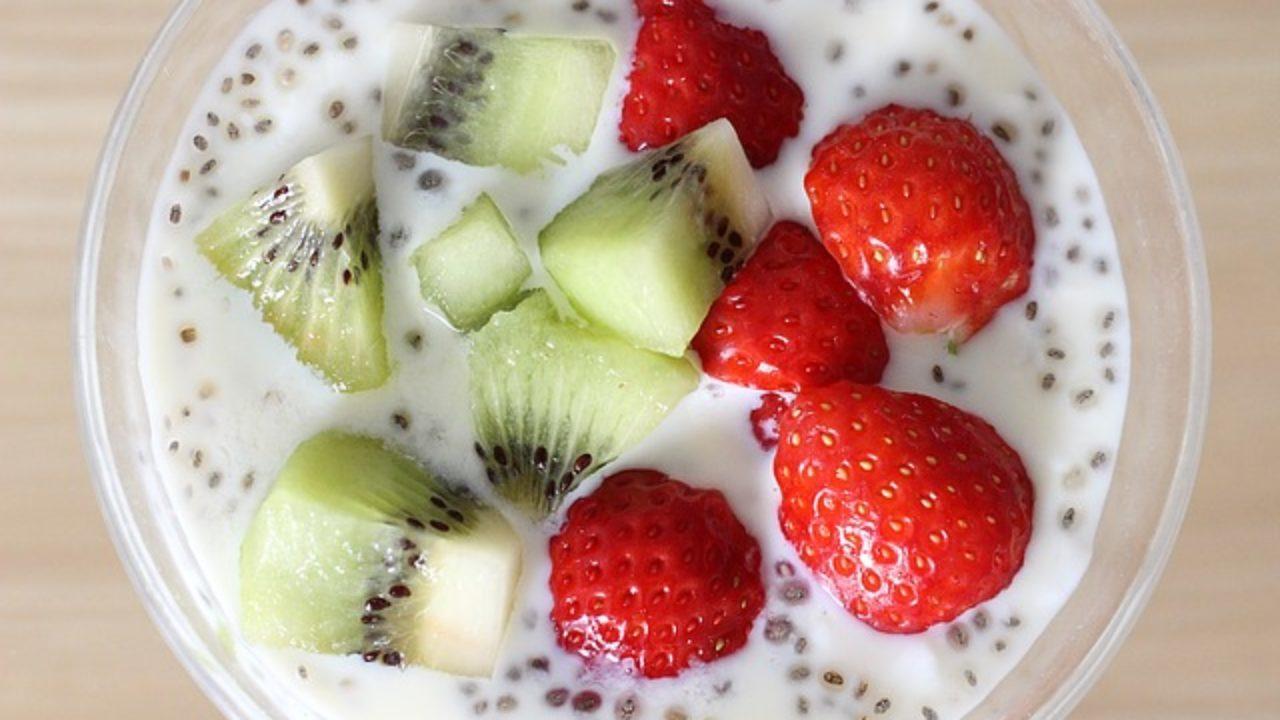 para q sirve el yogurt probiotico