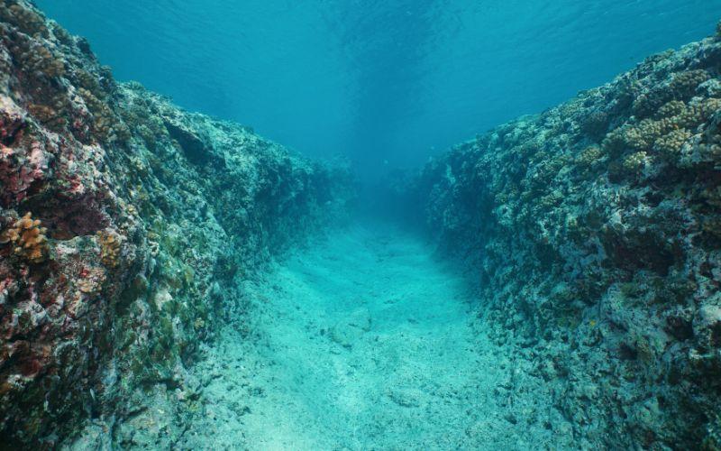 Fosas oceánicas: qué son, características, formación, ejemplos