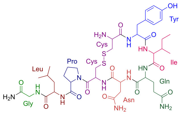 Công thức hóa học của Oxytocin