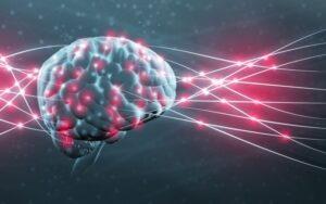 Memoria a largo plazo