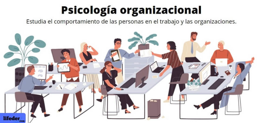Psicología organizacional: qué es, historia, qué estudia, áreas, técnicas
