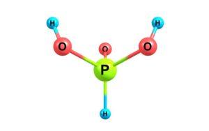 Ácido fosforoso (H3PO3)
