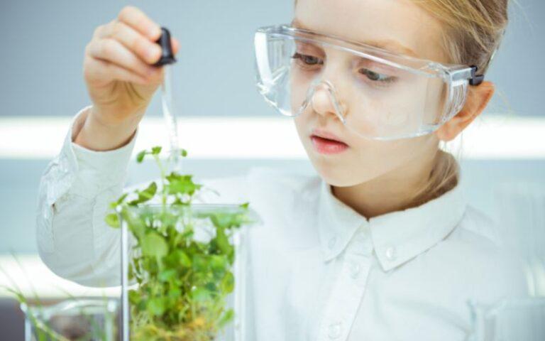 Ejemplos De Ciencia En La Vida Cotidiana