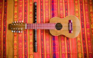 Instrumentos musicales de Argentina (folclóricos y autóctonos)