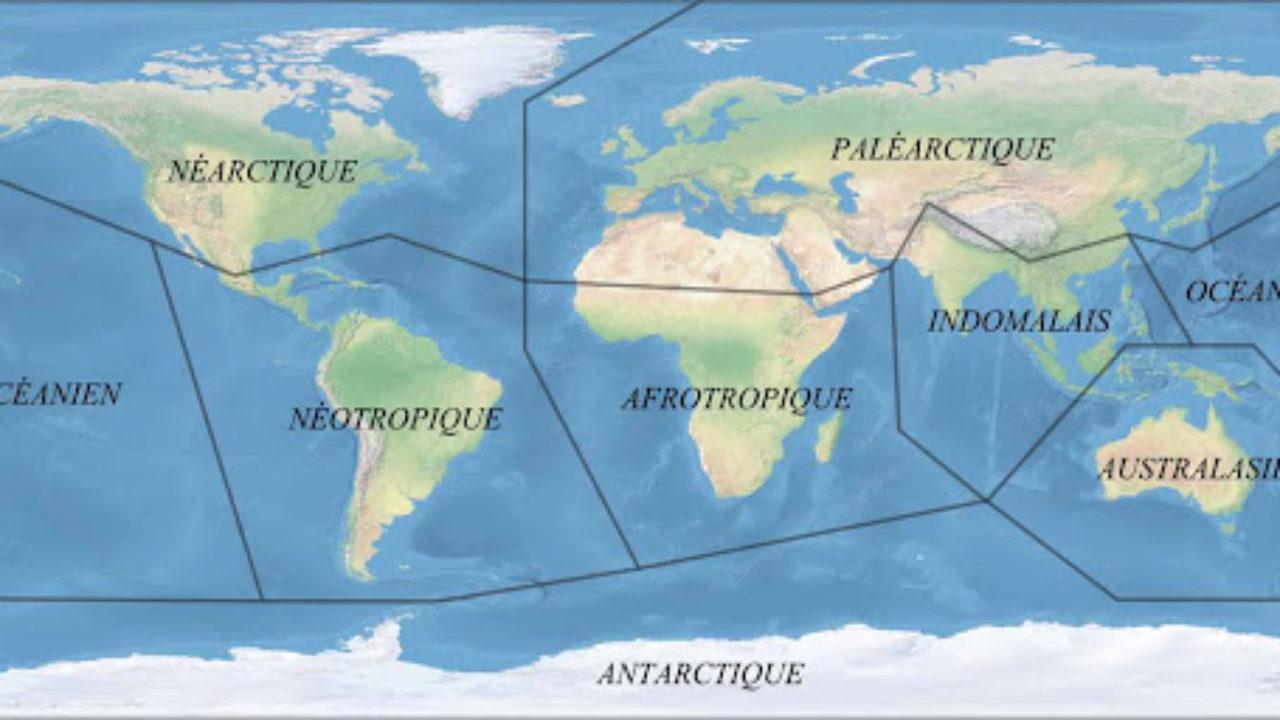 Regiones Biogeograficas Del Mundo Y Sus Caracteristicas Lifeder