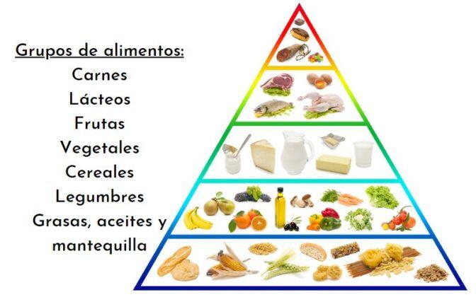 ¿Cómo se agrupan los alimentos?