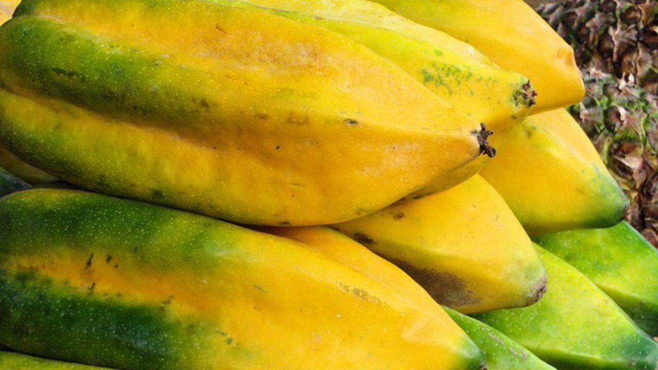 Las 30 Frutas De La Sierra Ecuatoriana Mas Comunes Lifeder