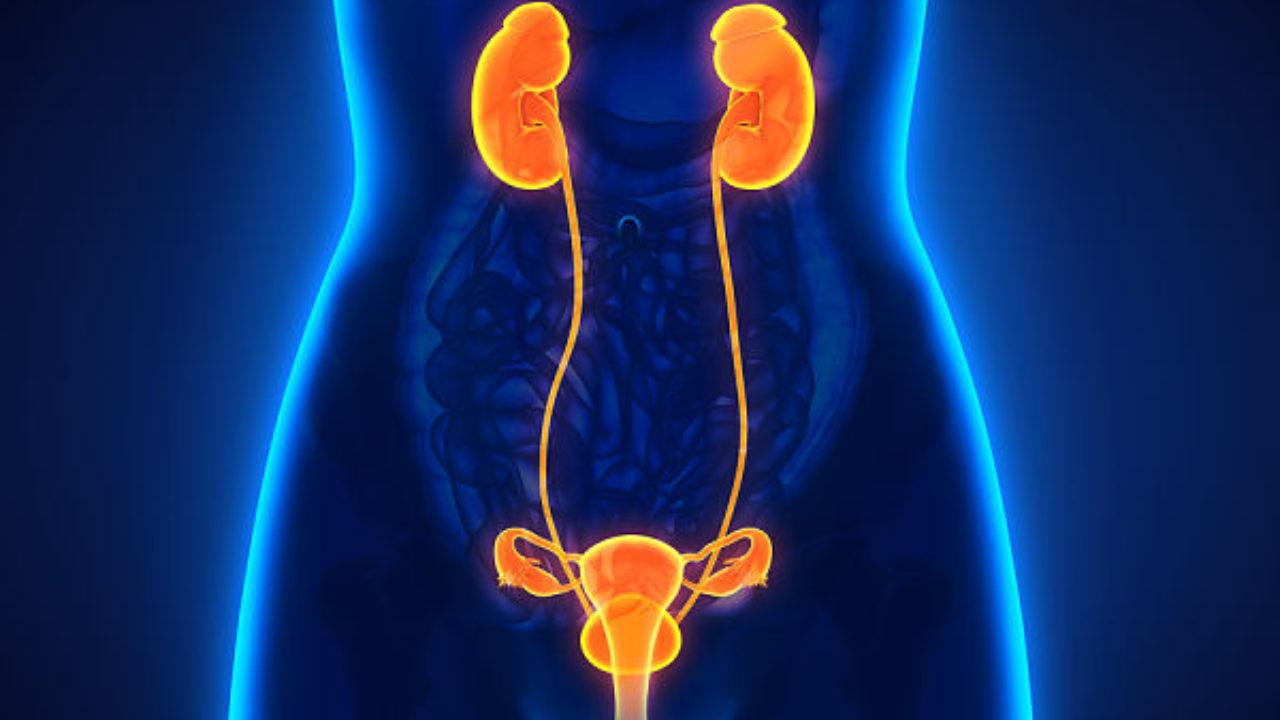 infección de las vías urinarias cuando hay diabetes
