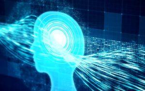 Memoria humana (Psicología)