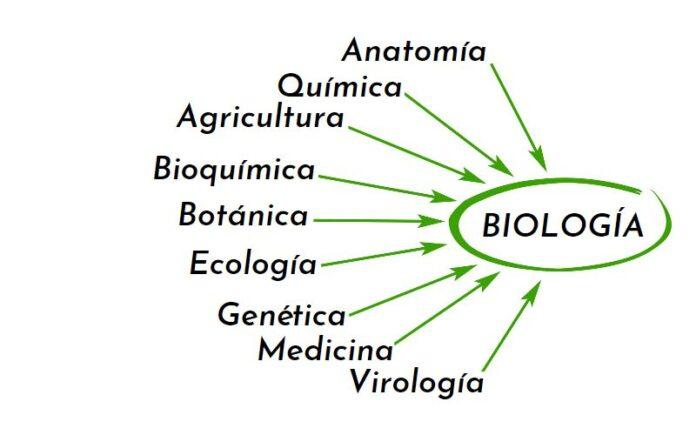 Ciencias que se relacionan con la biología