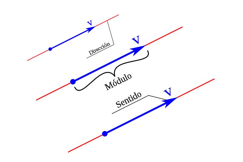 Los tres elementos de un vector