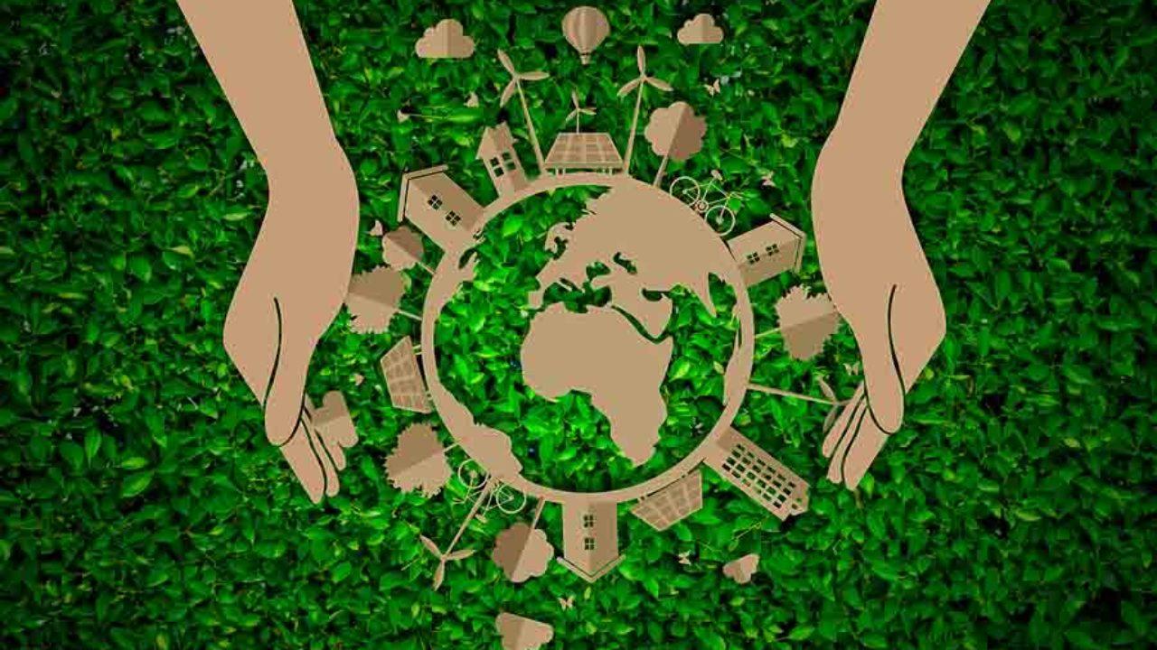 Qué Estudia la Ecología? (Objeto de Estudio) - Lifeder
