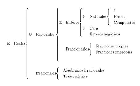 clasificacion numeros reales