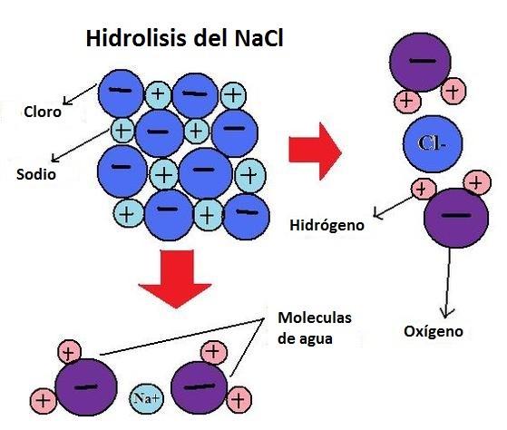 Resultado de imagen para hidrolisis
