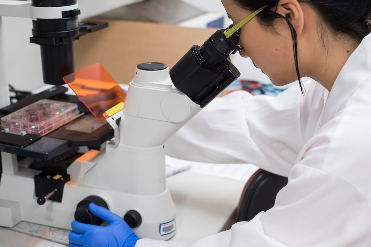 Los 20 Tipos de Microscopios y sus Funciones Los 20 Tipos de Microscopios y sus Funciones