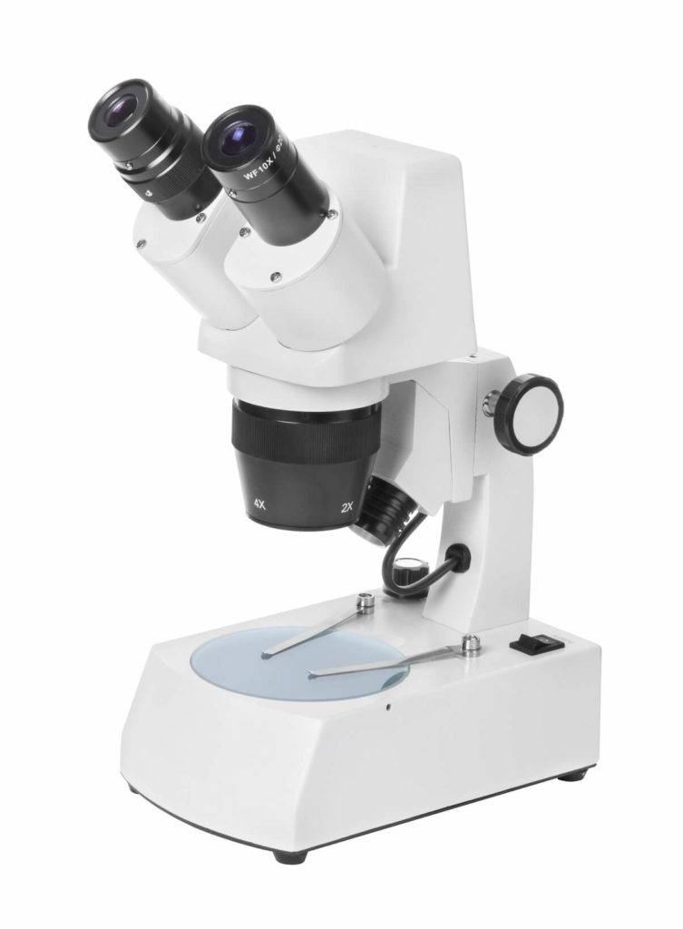 Tipos de microscopios qué son, características y funciones