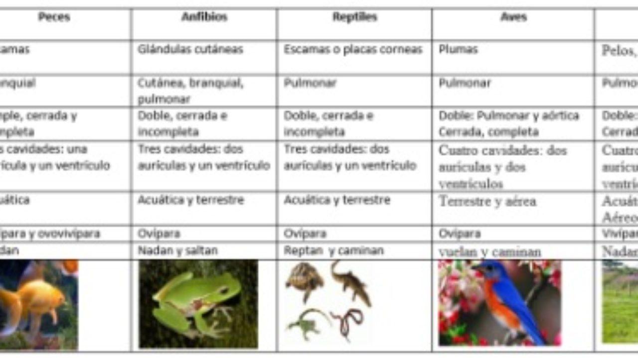 Que Es Un Cuadro De Doble Entrada Con Ejemplos Lifeder