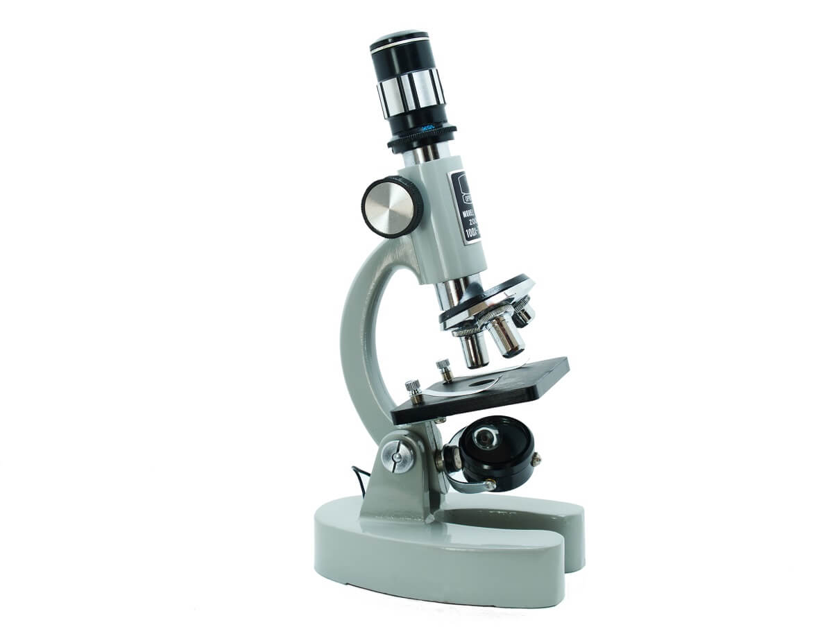 por no mencionar castigo profundidad Tipos de microscopios: qué son, características y funciones