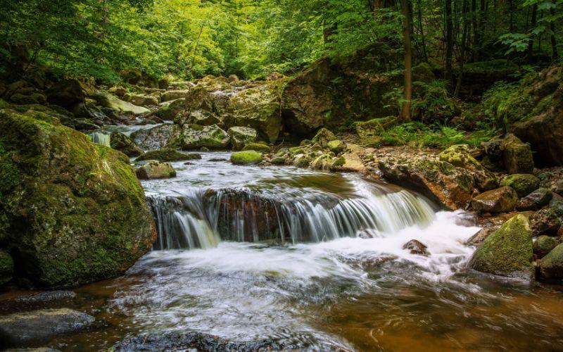 Aguas lóticas qué son, características y diferencia con las lénticas