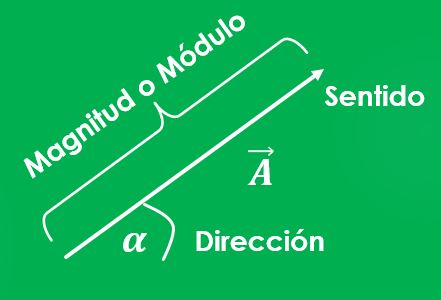 Cantidades vectoriales: qué son y ejemplos Cantidades vectoriales: qué son y ejemplos