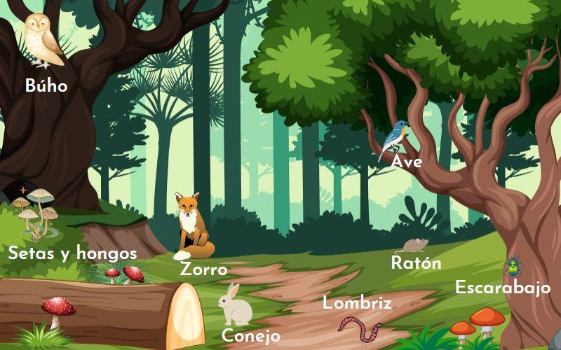 Cadena Alimenticia Del Desierto Imagui - vrogue.co