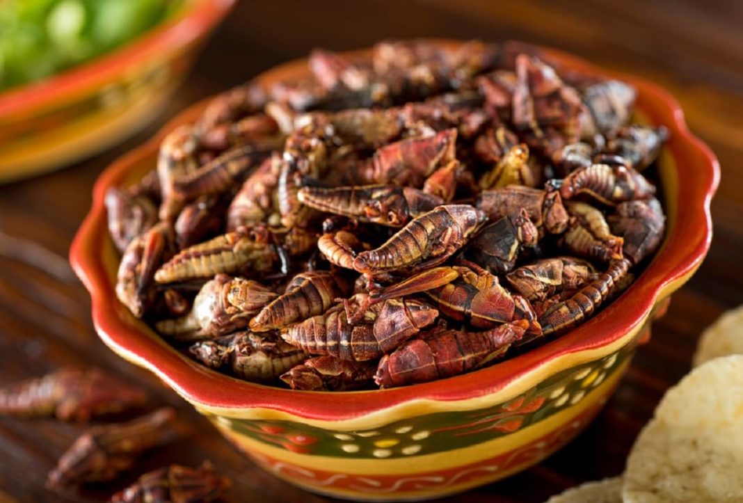 Las 14 tradiciones y costumbres de Guerrero Más Populares Las 14 tradiciones y costumbres de Guerrero Más Populares