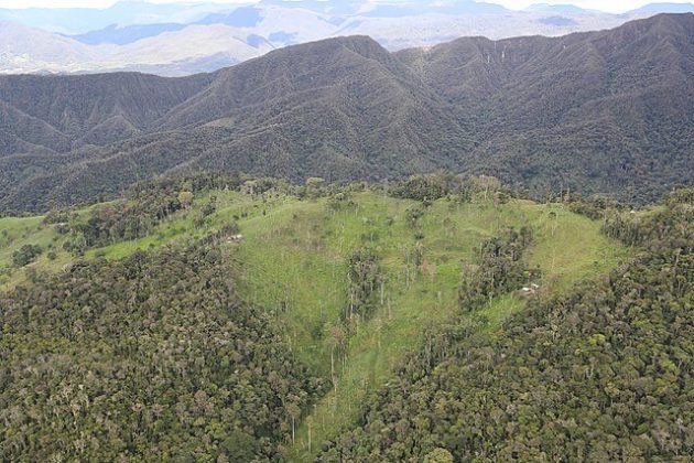 Región Yunga del Perú características flora, fauna, relieve