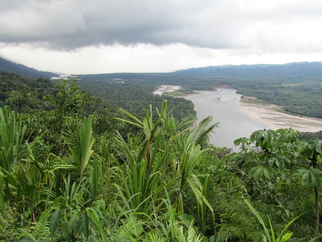 Region Yunga Del Peru Flora Fauna Relieve Y Caracteristicas Lifeder