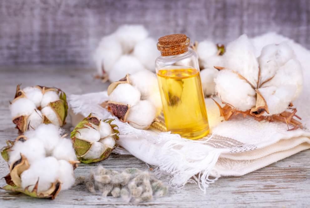 Los 15 Derivados del Algodón Más