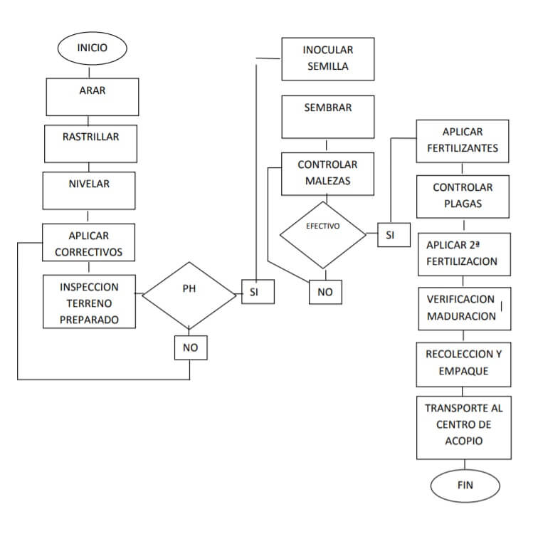 Diagrama de flujo: qué es, características, símbolos, ejemplos