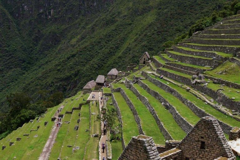 7 Aportaciones De Los Incas A La Humanidad