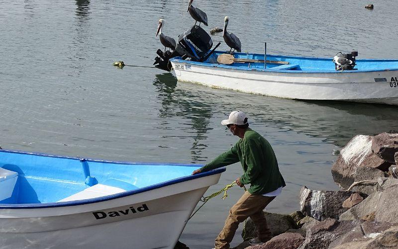 Actividades económicas de Baja California Sur