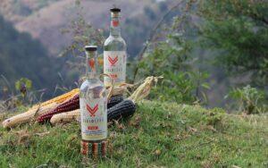 Bebidas típicas y más populares de Chiapas