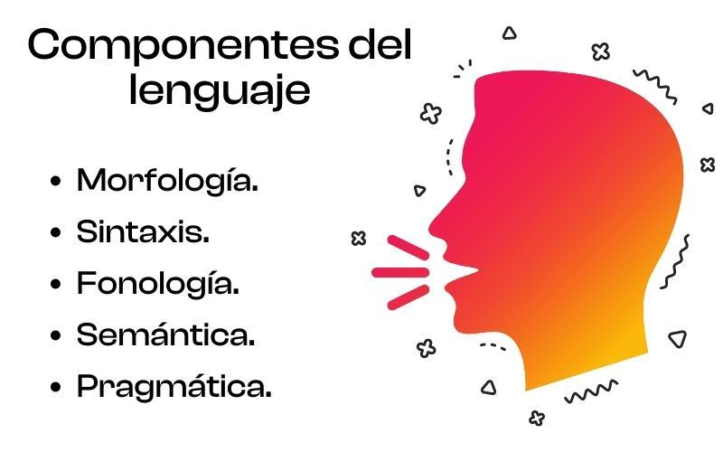 Componentes del lenguaje: qué son, cuáles son, ejemplos