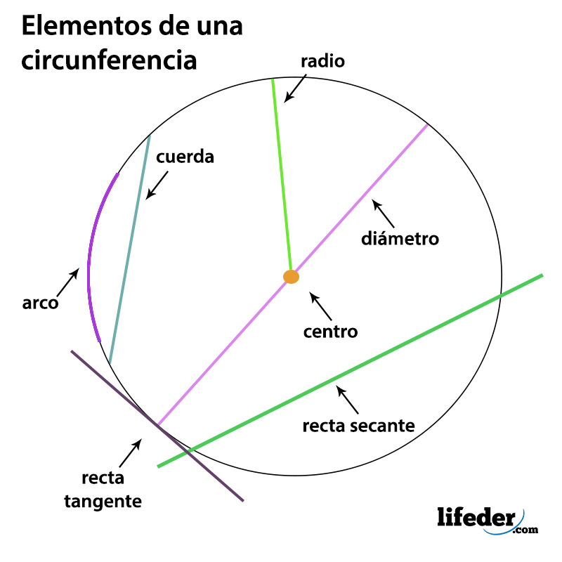 Cuáles son los 7 Elementos de la Circunferencia?