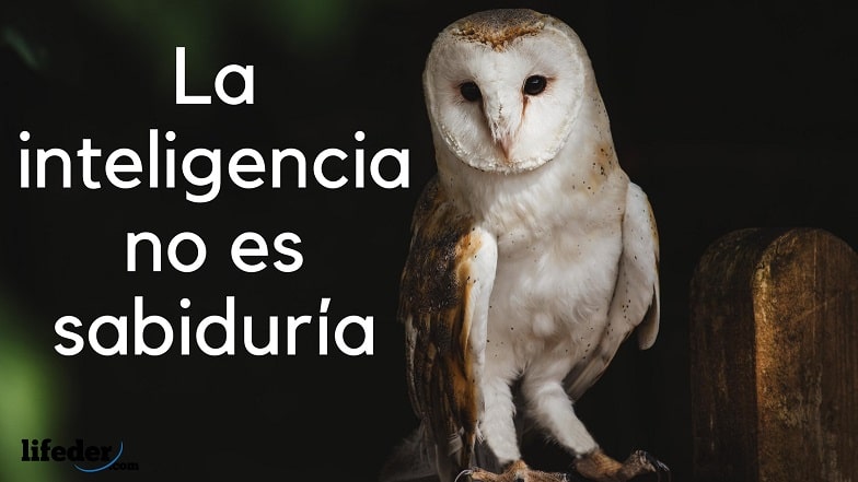 123 Frases Cortas Para Pensar Y Reflexionar Celebres 123 Frases Cortas Para Pensar Y Reflexionar Celebres