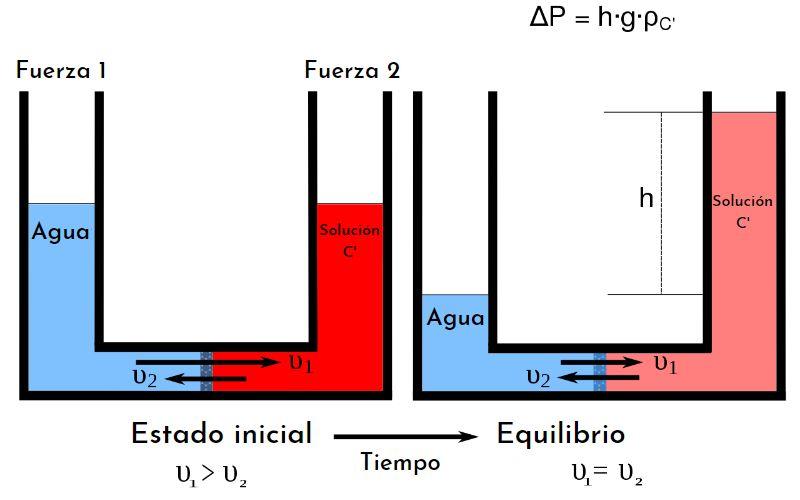 Presión hidráulica qué es, ejemplos