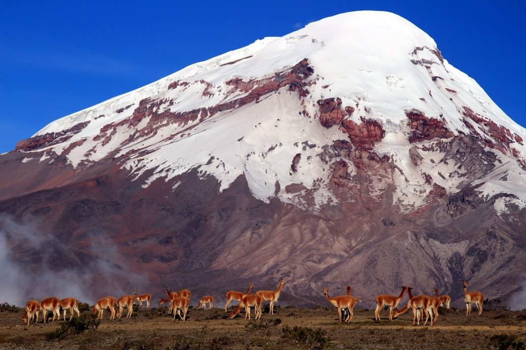Provincias De La Sierra Del Ecuador vrogue co Provincias De La Sierra Del Ecuador vrogue co