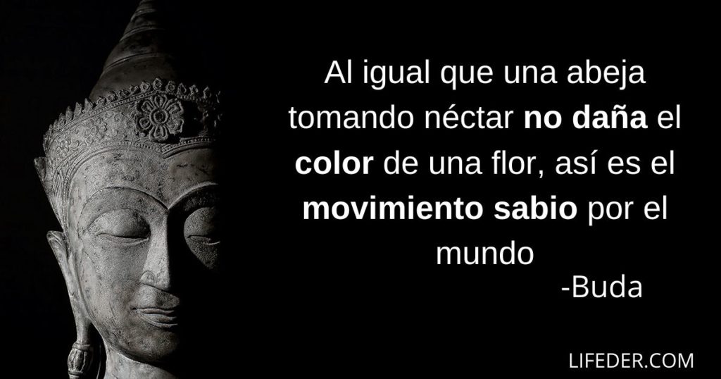 100 Frases Zen Para Meditar Y Relajar Cuerpo Y Mente