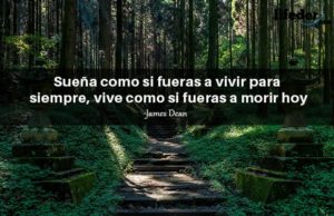 +101 Frases para Ser Feliz en la Vida y en el Amor