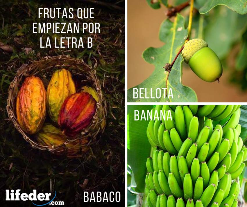 17 frutas y verduras que comienzan por B