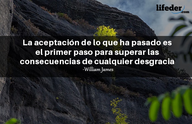 Frases Filosóficas de (WILLIAM JAMES). #suscribete #shorts  #frasesfilosoficas 