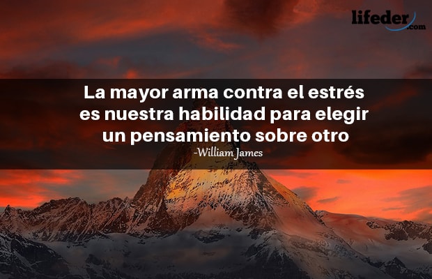 Frases de William James Sidis 