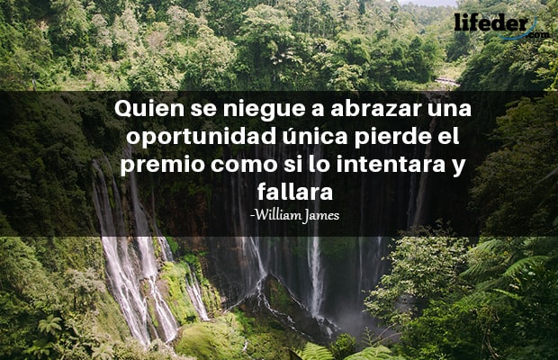 Frases de William James Sidis 