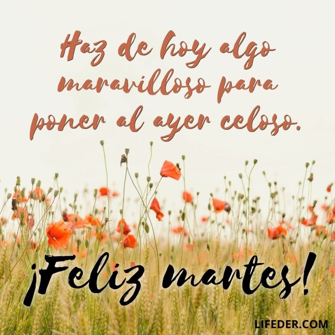 Feliz Martes: 100 Frases para Dedicar y Compartir + Imágenes