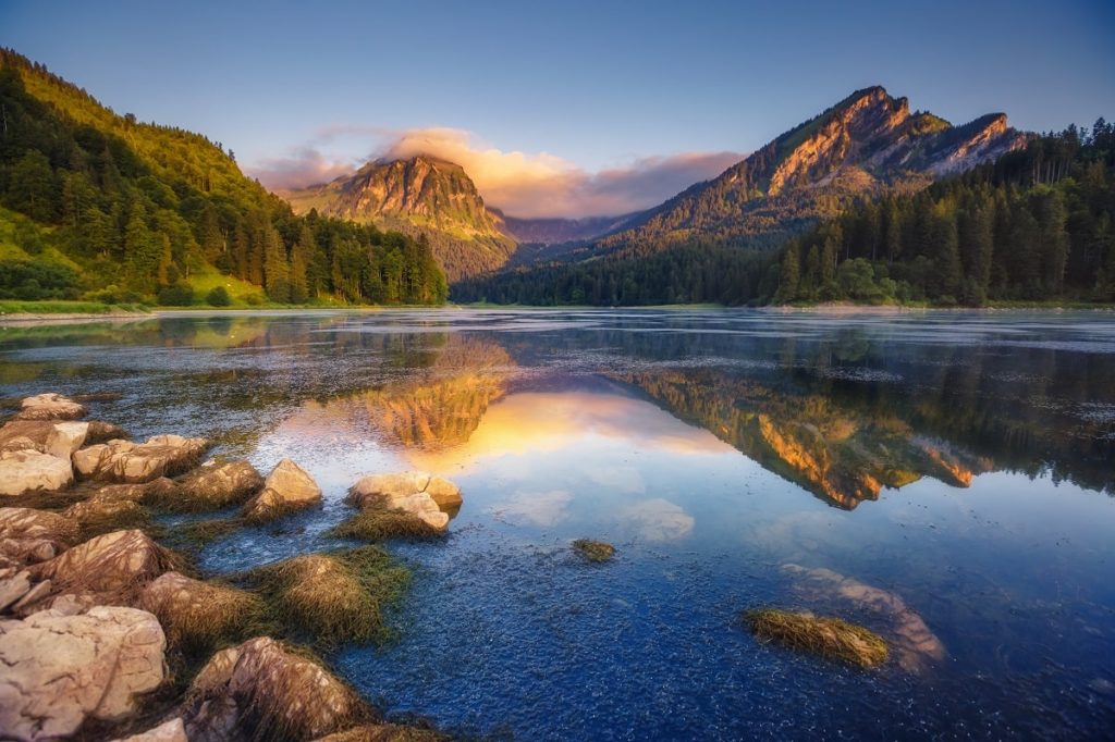 Ecología del paisaje: características, método, importancia