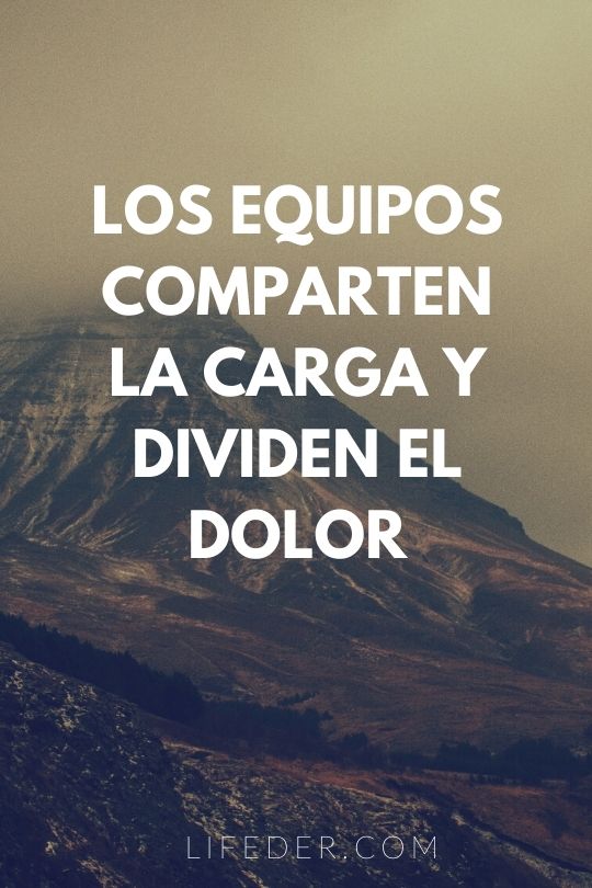 +100 Frases de Trabajo en Equipo Motivadoras (2022)