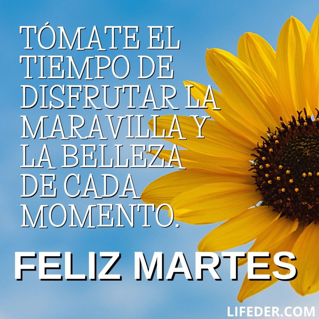 Feliz Martes: 100 Frases para Dedicar y Compartir + Imágenes