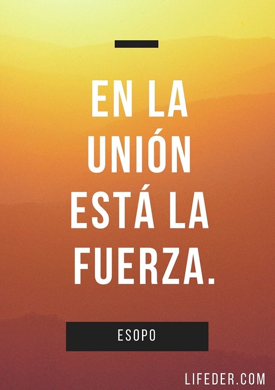 +100 Frases de Trabajo en Equipo Motivadoras (2022)